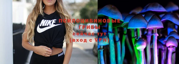 винт Михайловка