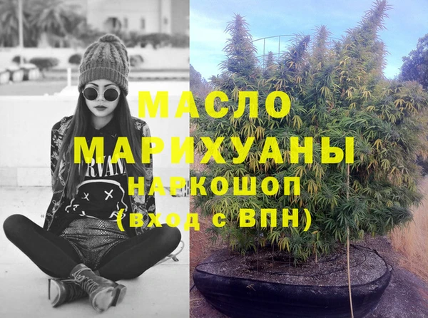 дмт Надым