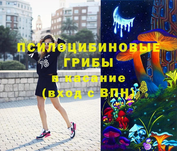сатива Бердск