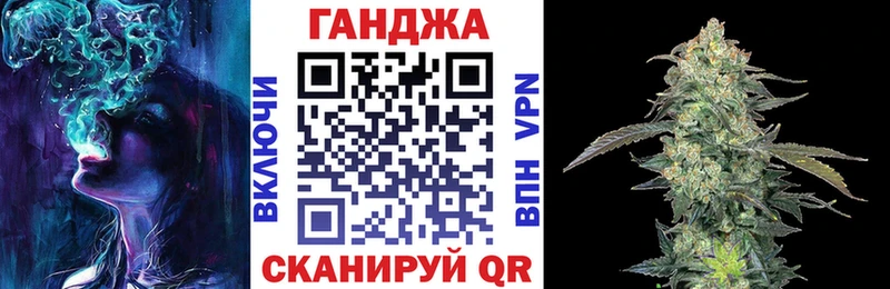 Марихуана сатива  Купить закладки  Можга 